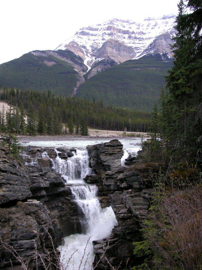 Athabasca Fall